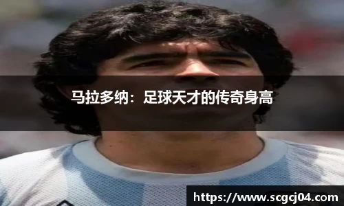 竞技宝官网