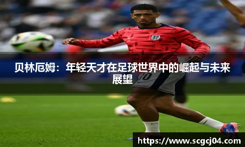 JJB竞技宝